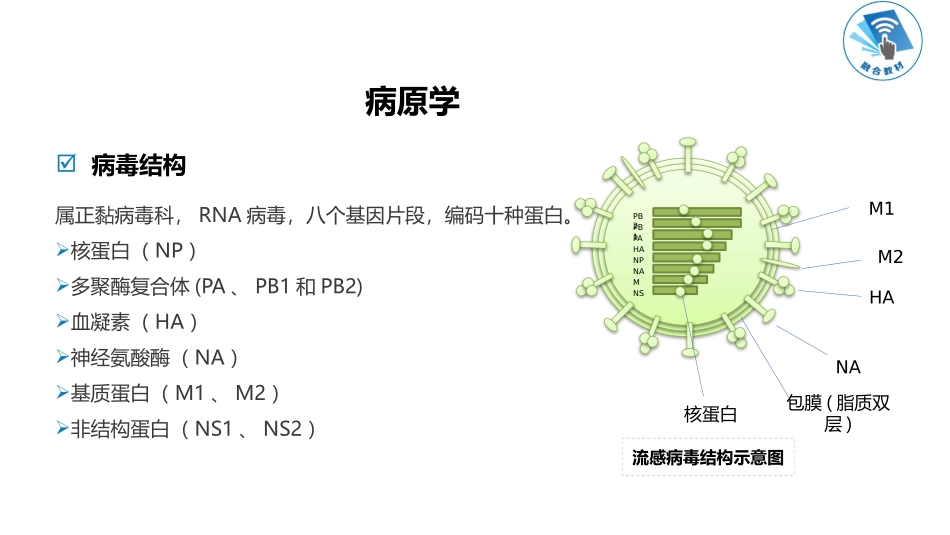 流行性感冒诊疗方案专家讲座_第2页