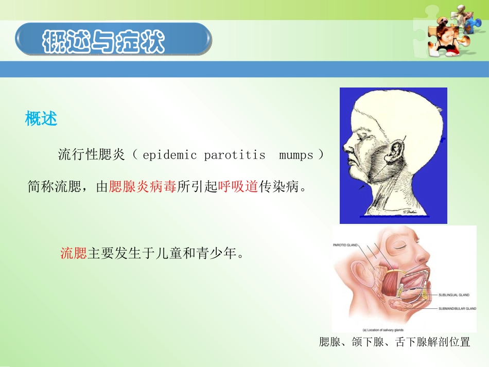 流行性腮腺炎的护理课件_第3页