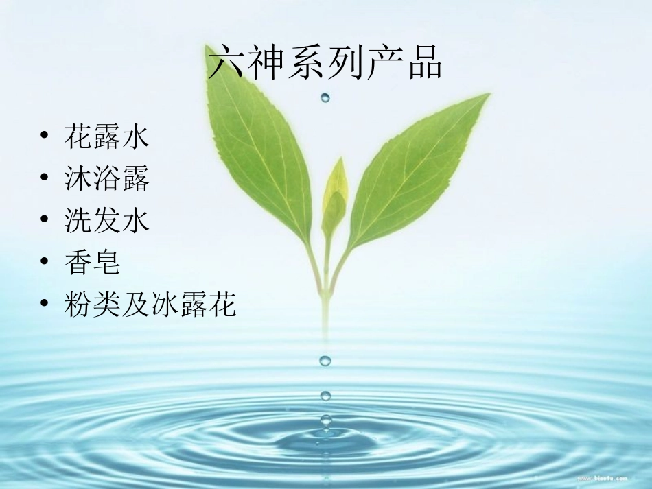 六神花露水市场分析_第3页