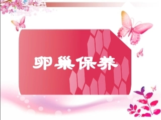 卵巢保养课件