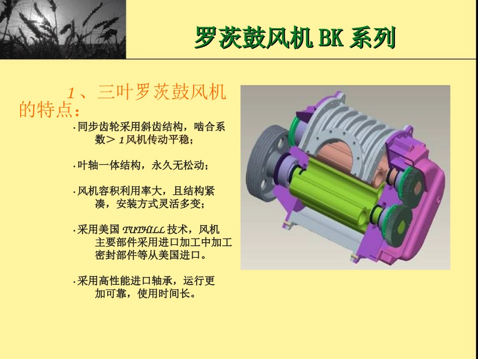 罗茨风机培训资料_第2页
