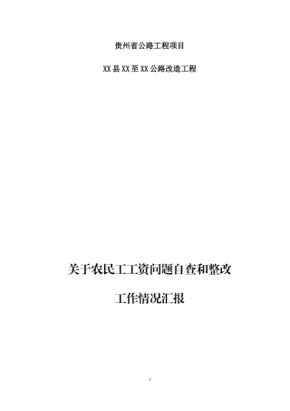 关于农民工工资问题自查和整改工作情况汇报