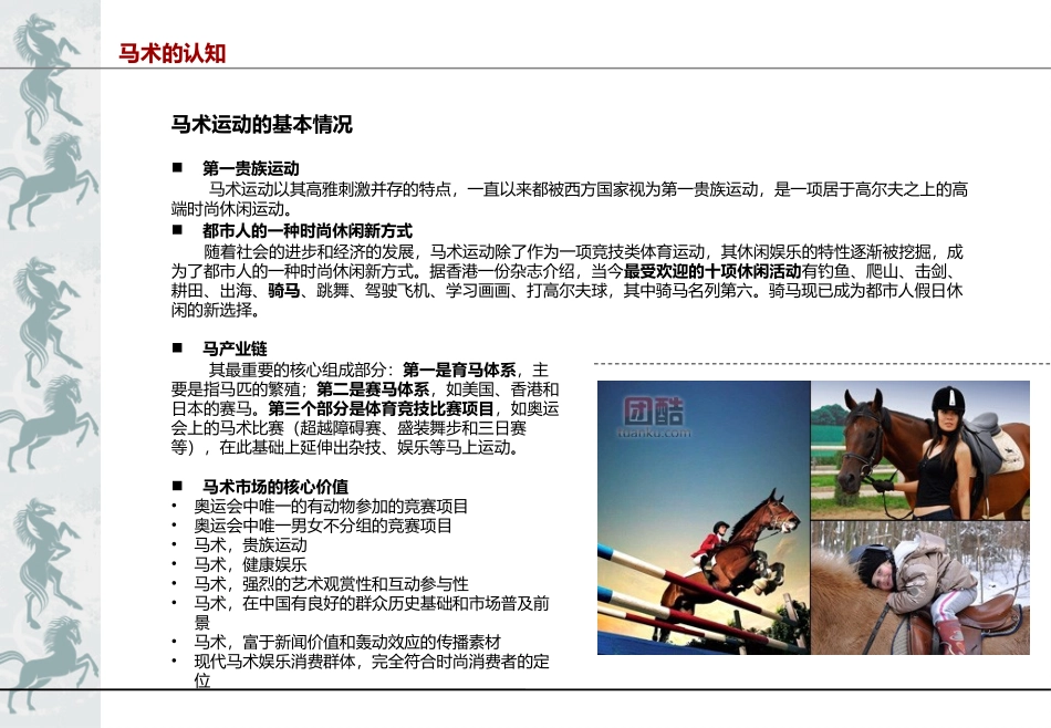 马术产业分析及案例研究_第1页