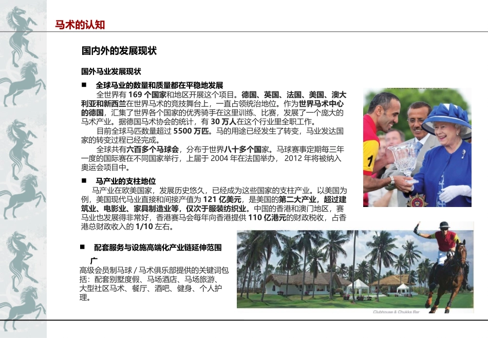 马术产业分析及案例研究_第2页