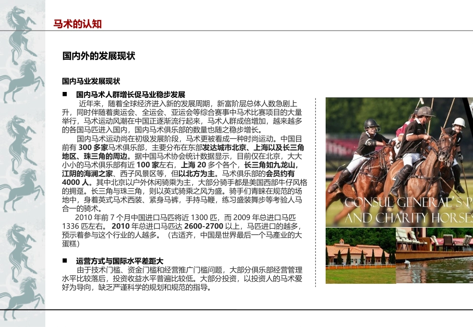 马术产业分析及案例研究_第3页