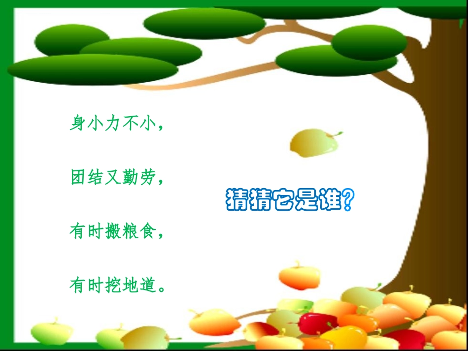 蚂蚁搬家课件_第2页