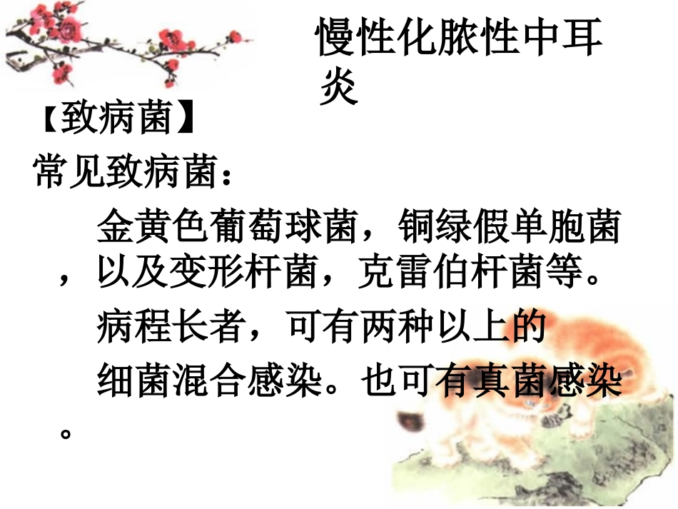 慢性化脓性中耳炎讲义_第3页