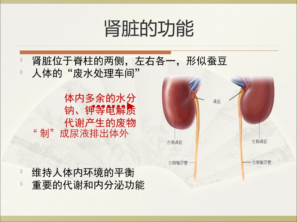 慢性肾病课件_第2页