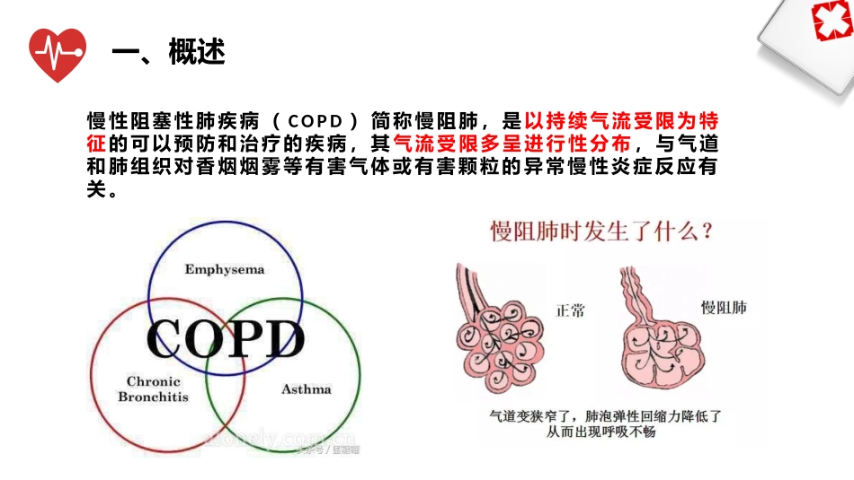 慢性阻塞性肺疾病小讲课_第3页