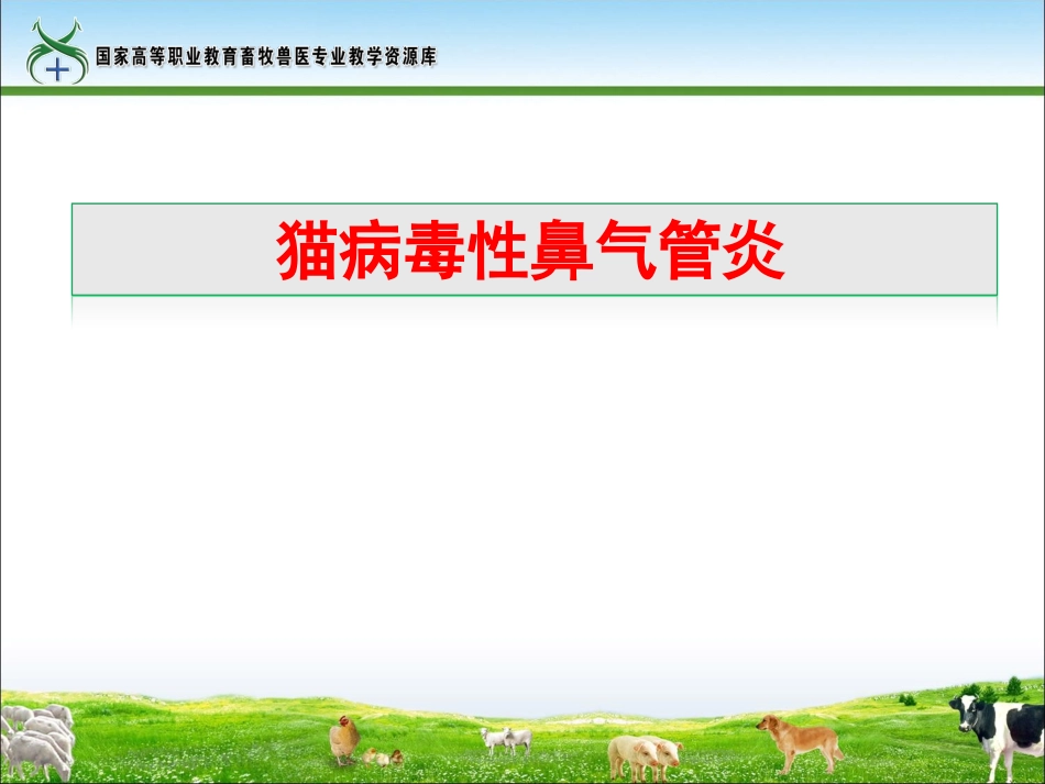 猫病毒性鼻气管炎_第1页