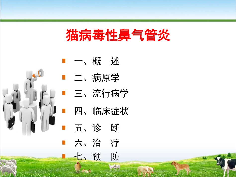 猫病毒性鼻气管炎_第2页