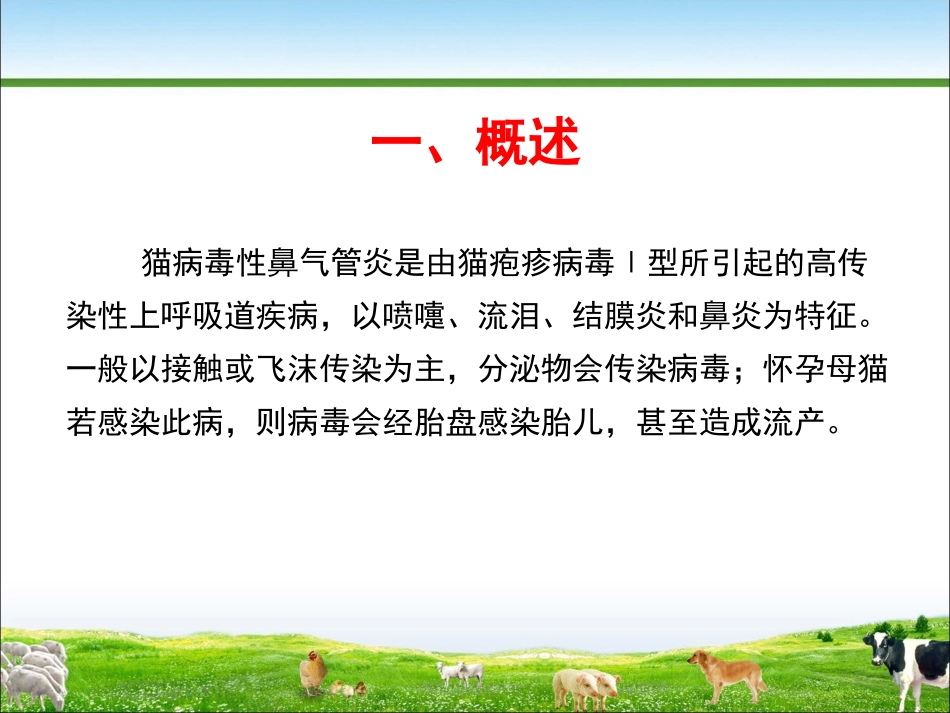 猫病毒性鼻气管炎_第3页