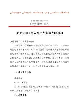 关于立即开展安全生产大检查的通知