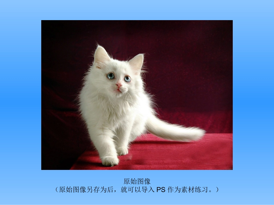 毛发抠图调整边缘法_第1页