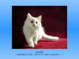 毛发抠图调整边缘法