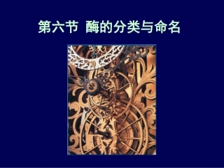 酶的分类与命名