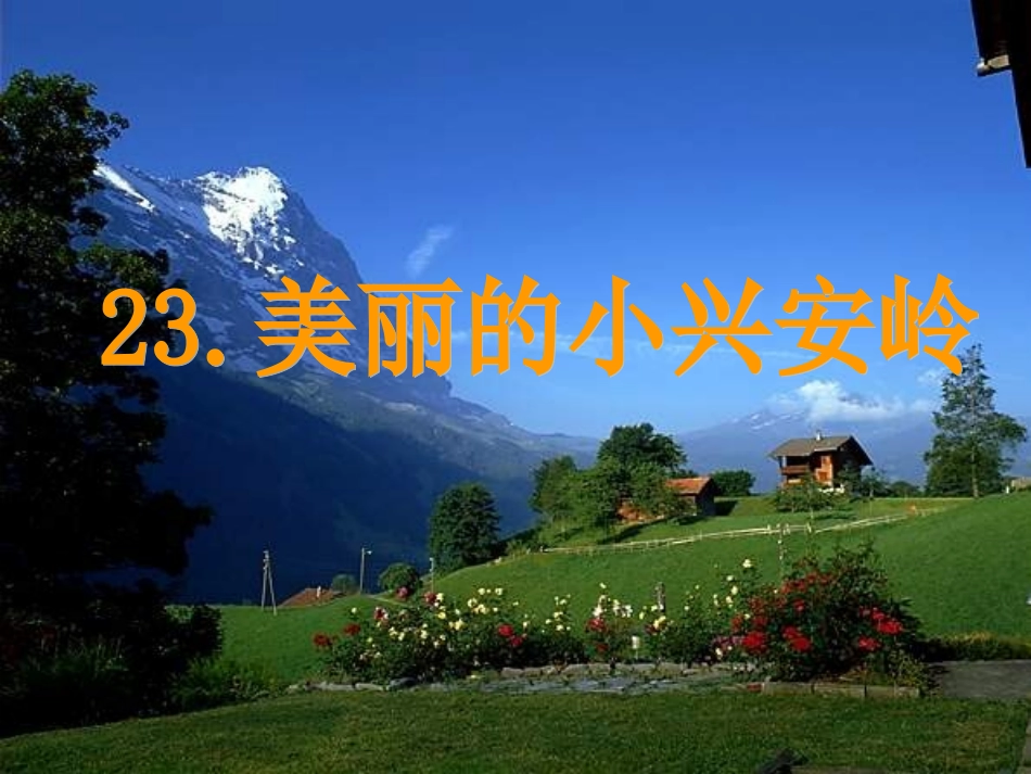 美丽的小兴安岭课件_第3页