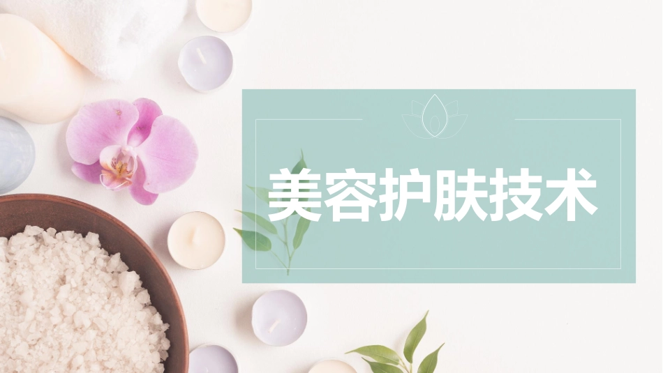 美容护肤技术卸妆_第1页