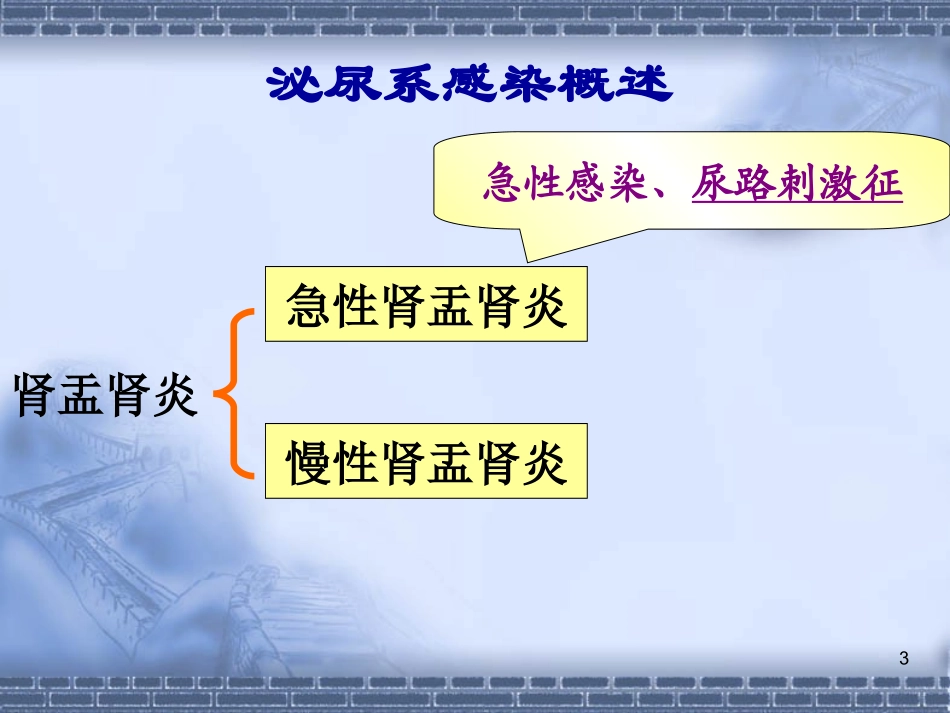 泌尿系感染概述_第3页