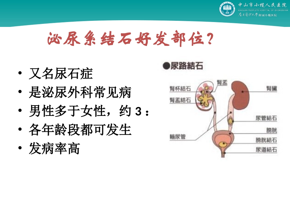 泌尿系结石简介_第2页
