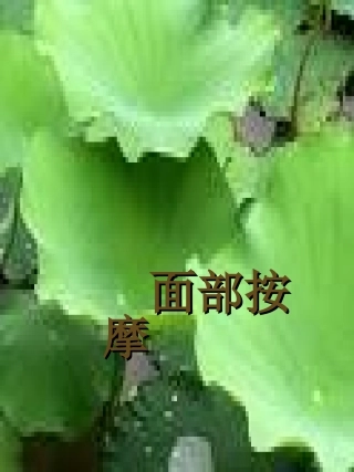 面部按摩和常用穴位