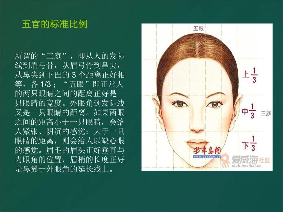 面部结构骨骼_第3页