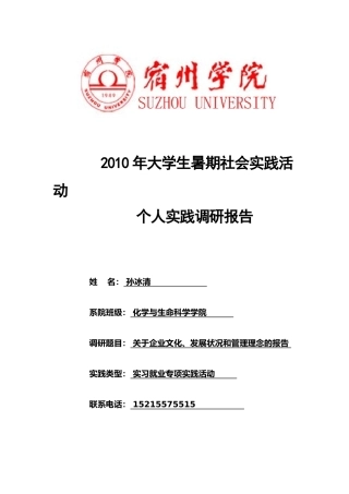 关于企业文化、发展状况和管理理念的报告