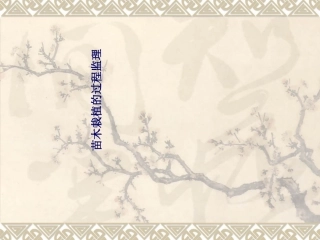 苗木栽植质量控制