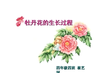 牡丹花的生长过程