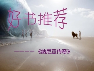 纳尼亚传奇读后感读书心得读书交流汇报