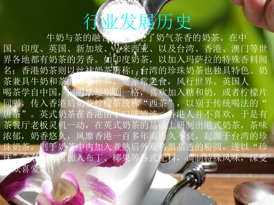 奶茶市场分析_第3页