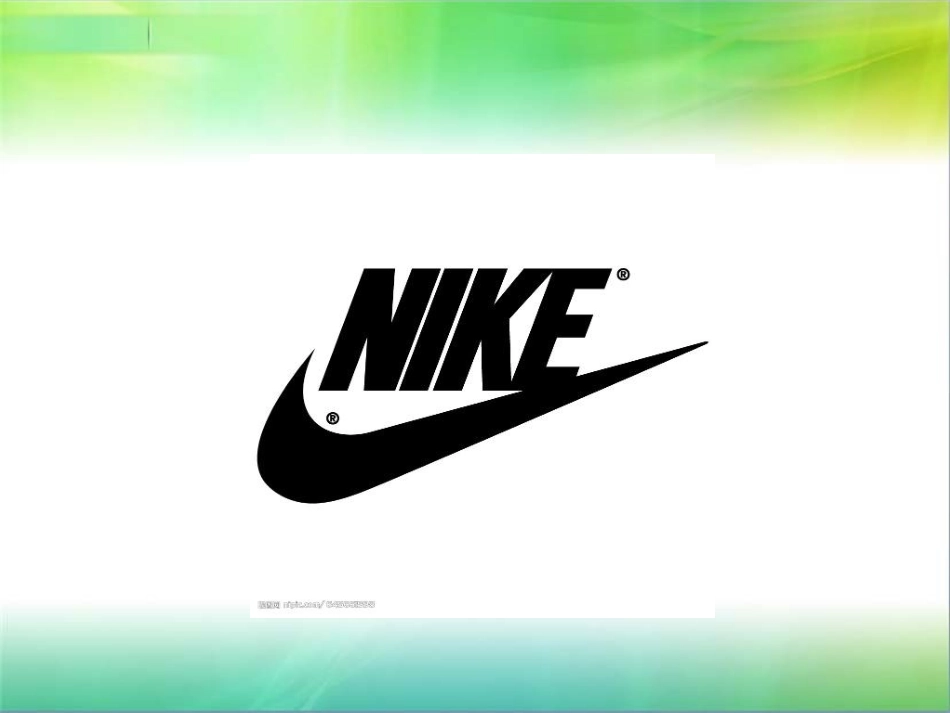 耐克可行性分析1022622孙爽_第2页