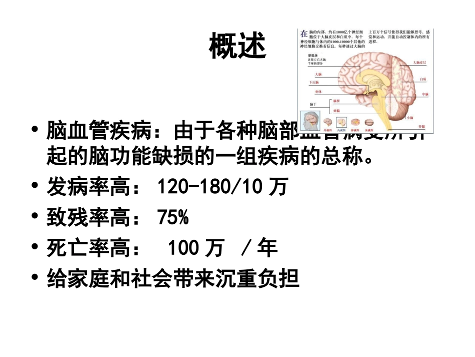 脑血管疾病的营养精_第2页