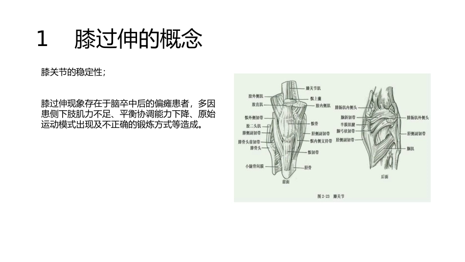 脑卒中后膝过伸的治疗_第3页