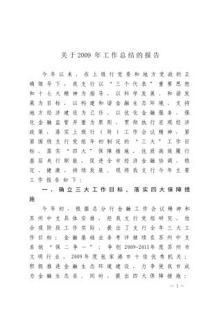 关于2009年工作总结的报告