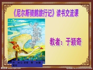 尼尔斯骑鹅旅行记读书交流设计修改后分析