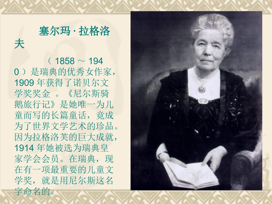 尼尔斯骑鹅旅行记好书推荐_第2页