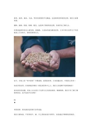 关于大米-你应该知道的一切
