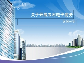 农村电商案例分析
