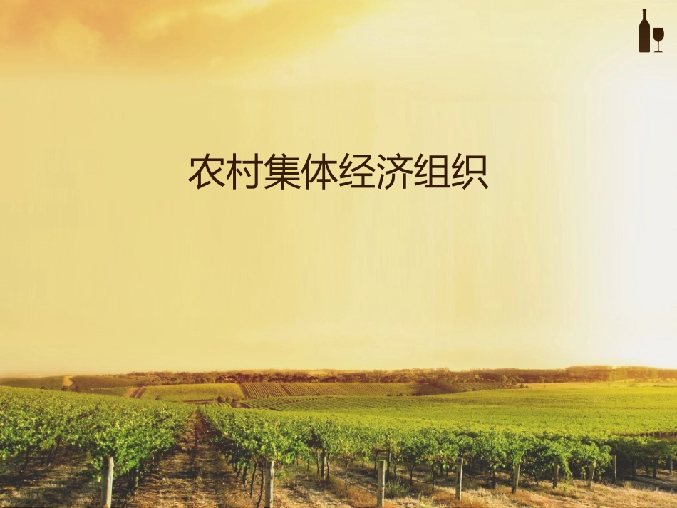 农村集体经济组织_第1页