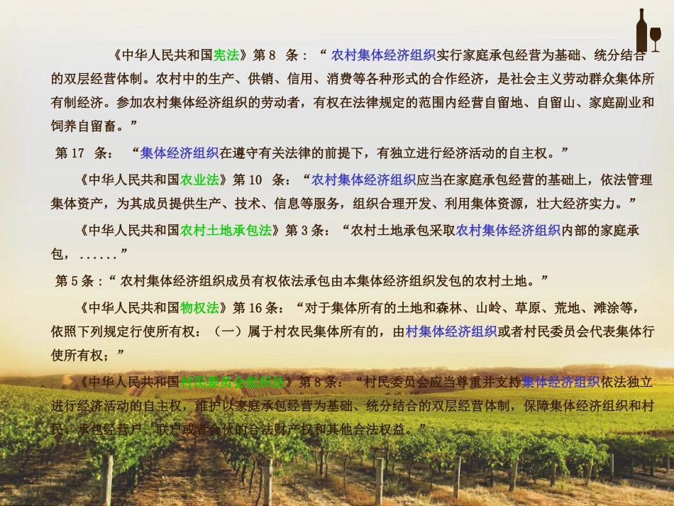 农村集体经济组织_第2页