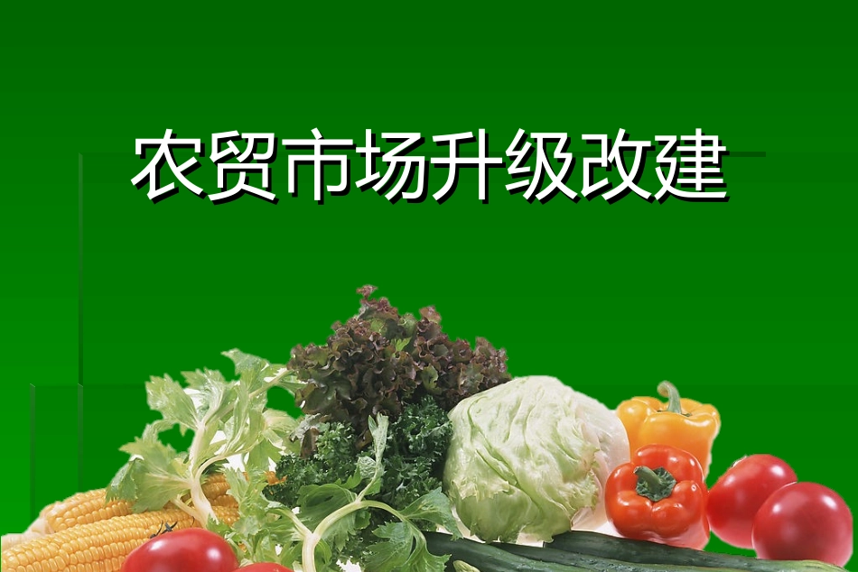 农贸市场策划方案_第1页