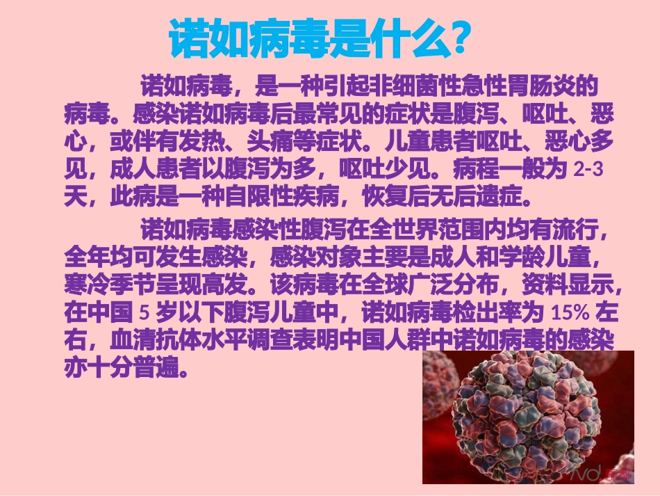 诺如病毒知识讲座_第2页