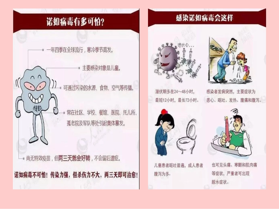 诺如病毒知识讲座_第3页