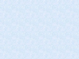 胖乎乎的小手PPT课件