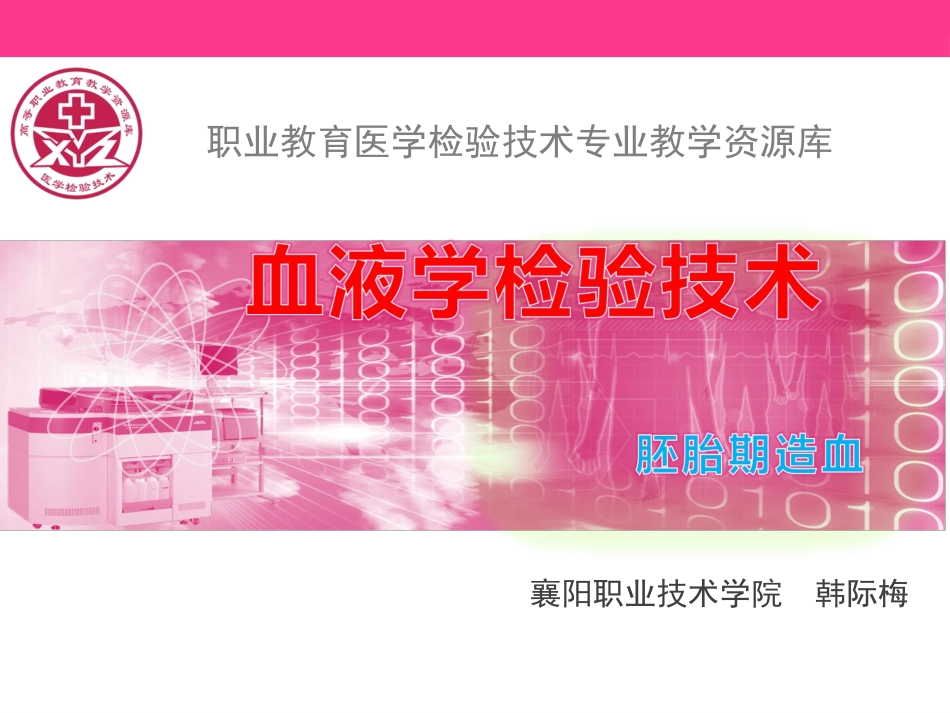 胚胎期造血精_第1页