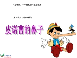 匹诺曹的故事课件