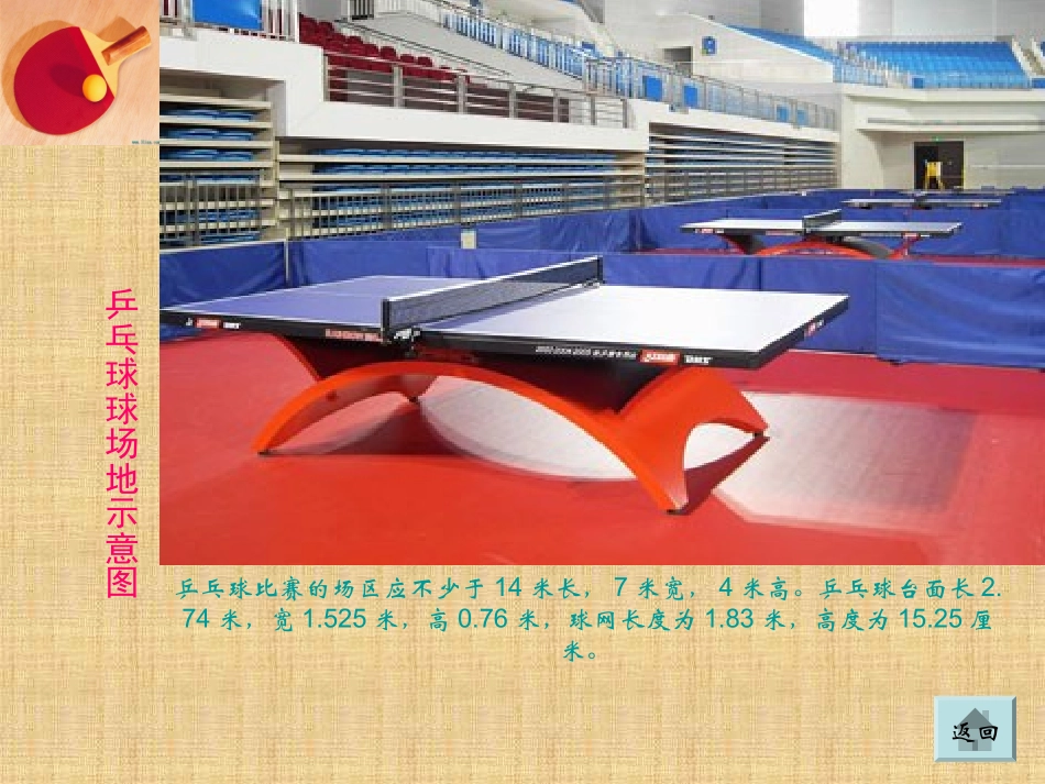 乒乓球课件精_第3页