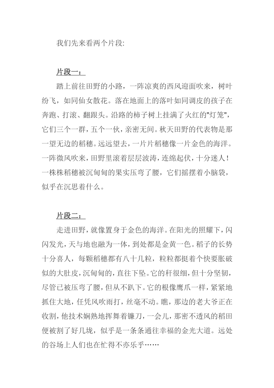 关于秋天作文写法_第2页