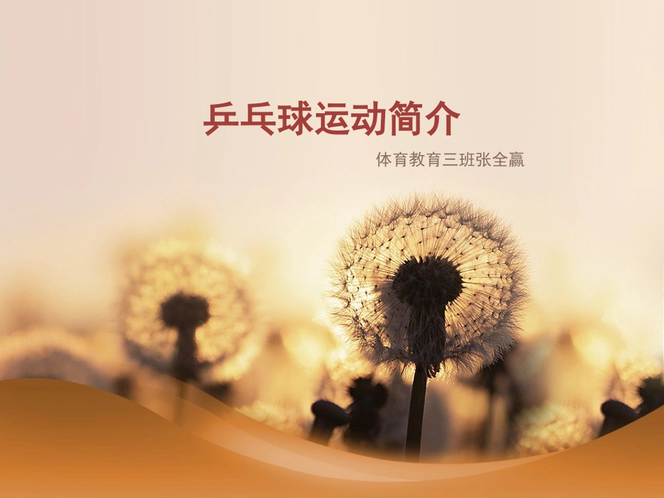 乒乓球运动简介_第1页